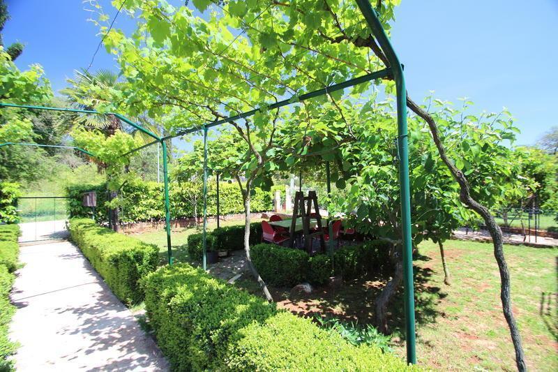 The Green House - 20M From The Beach Novigrad Istria Habitación foto