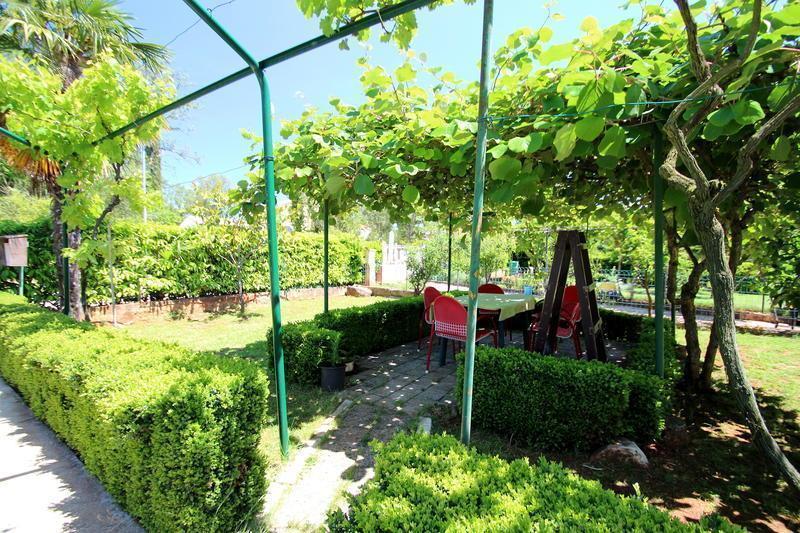The Green House - 20M From The Beach Novigrad Istria Habitación foto